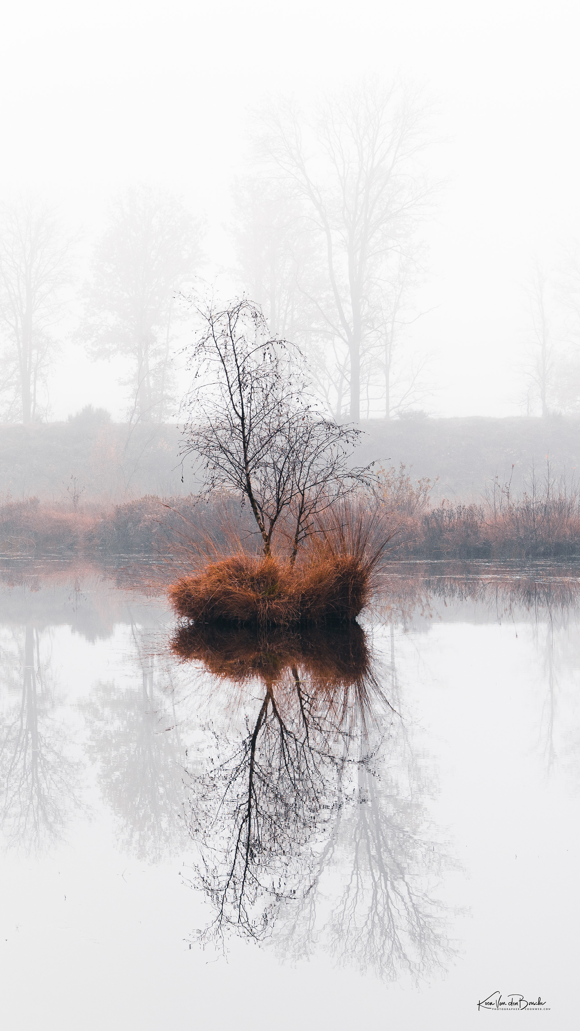 Mist