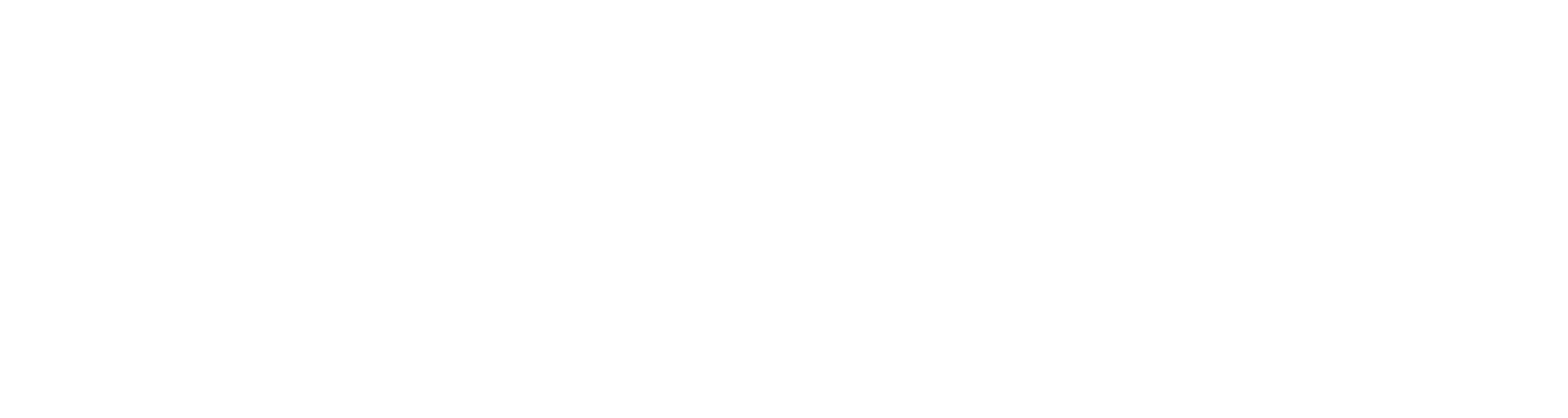 Coonweb Fine Art Photography Logo